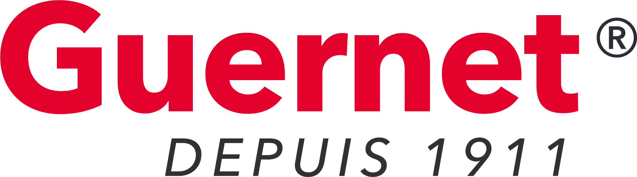 Logo Guernet® - fond clair